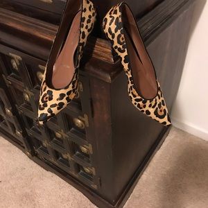 Leopard Dress Pumps